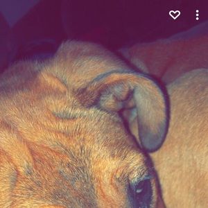 Meet your Posher, Haven